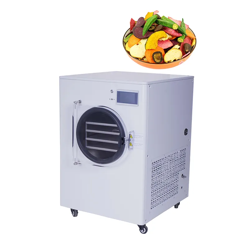Small Size Freeze Dry Machine/freeze Dryer vacuum Freeze Drying Equipment