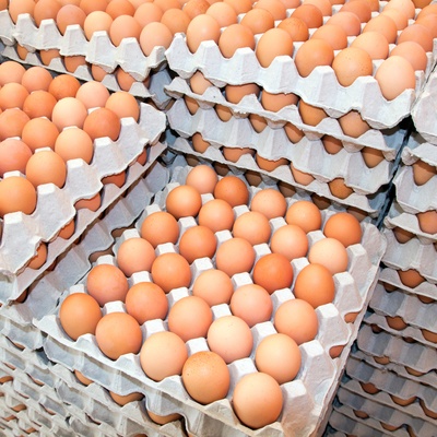 Eggs Wholesale Chicken Eggs Free Range Eggs